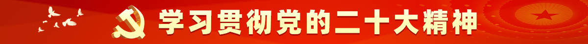 学习贯彻党的二十大精神