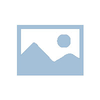 习近平向亚太经合组织工商领导人峰会发表书面演讲