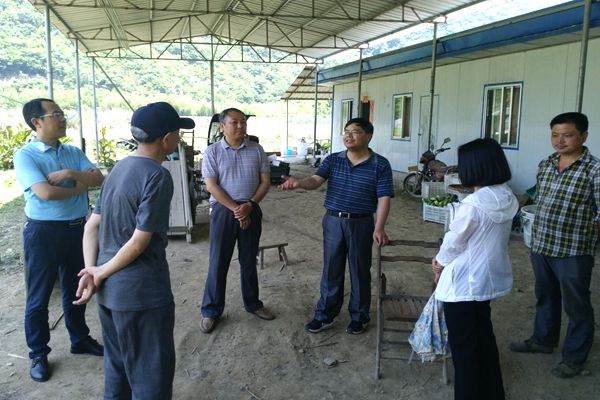 市人大常委会赴我县横渡镇开展蔬菜使用监管情况调研