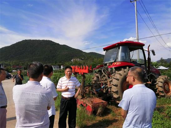 小河竹荪.jpg