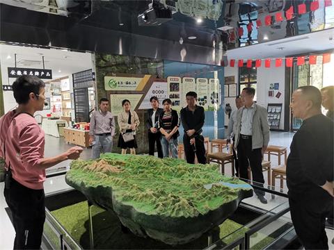 县人大代表丁香小组赴大演乡开展调研活动