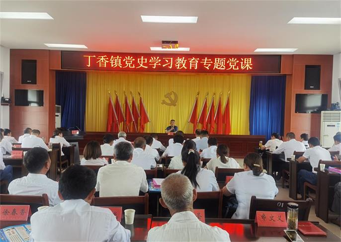 施道良赴丁香镇开展党史学习教育专题党课