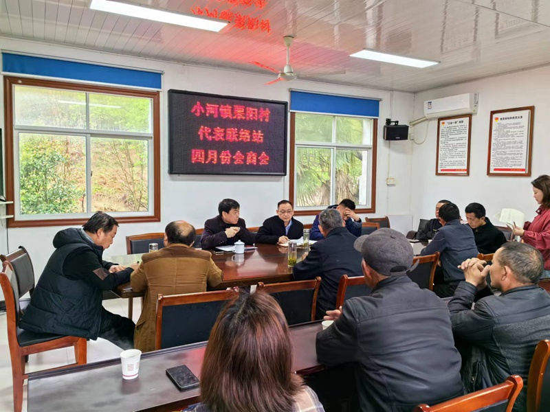 进站会商身边事，代表履职新作为