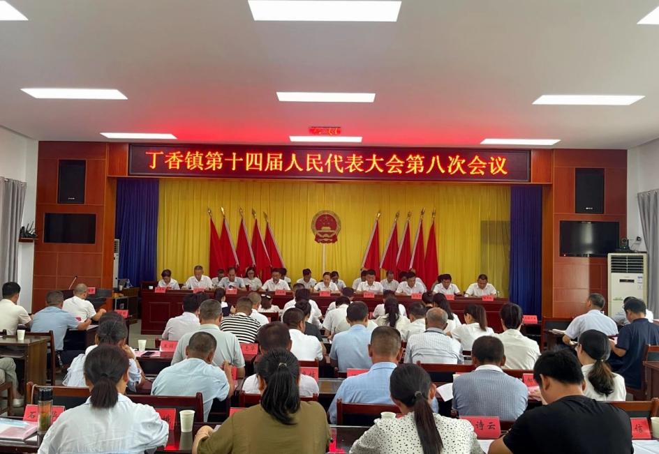 丁香镇第十四届人民代表大会第八次会议胜利召开